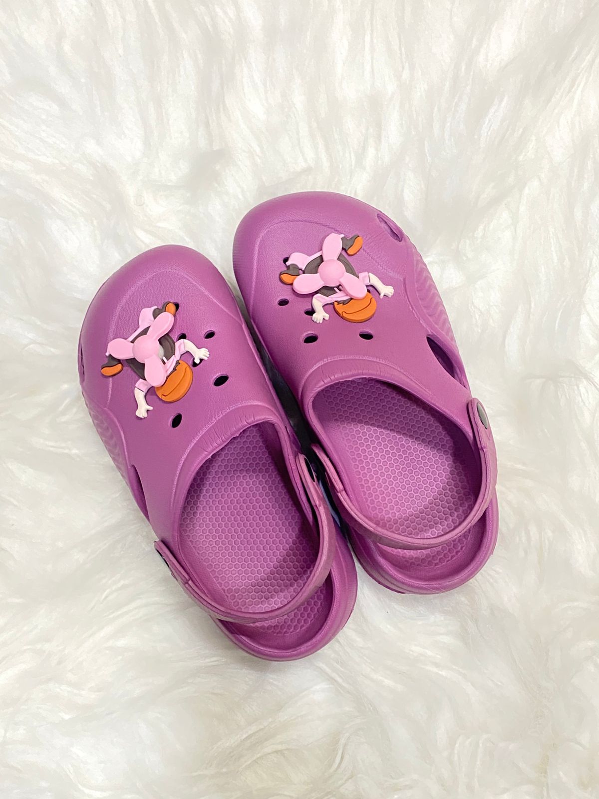 CROCKS ( PURPLE )